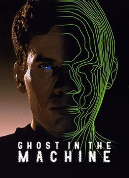 久本草中文在线视频,探寻传统中医智慧与现代生活的完美融合