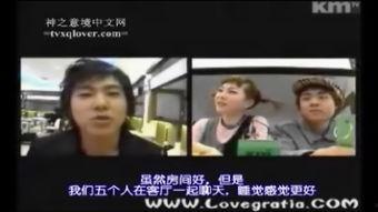 国语中字在线视频,语言魅力与文化传承